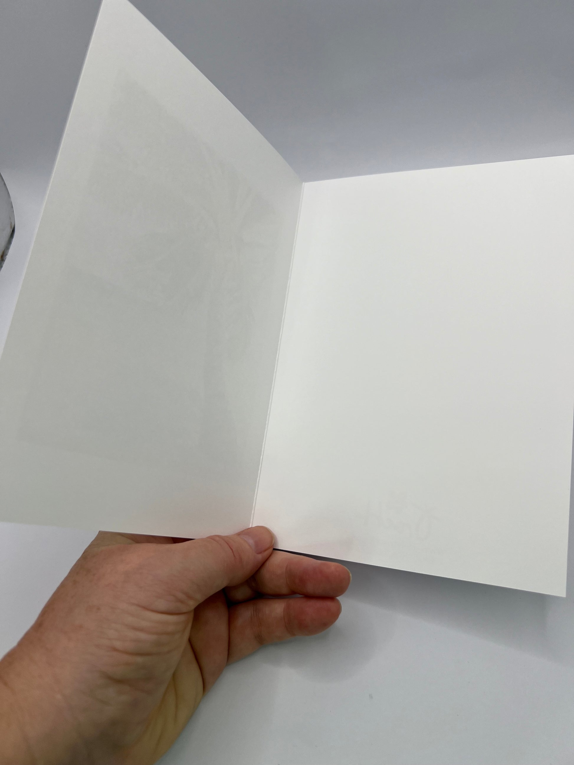 5x7 Greeting Cards