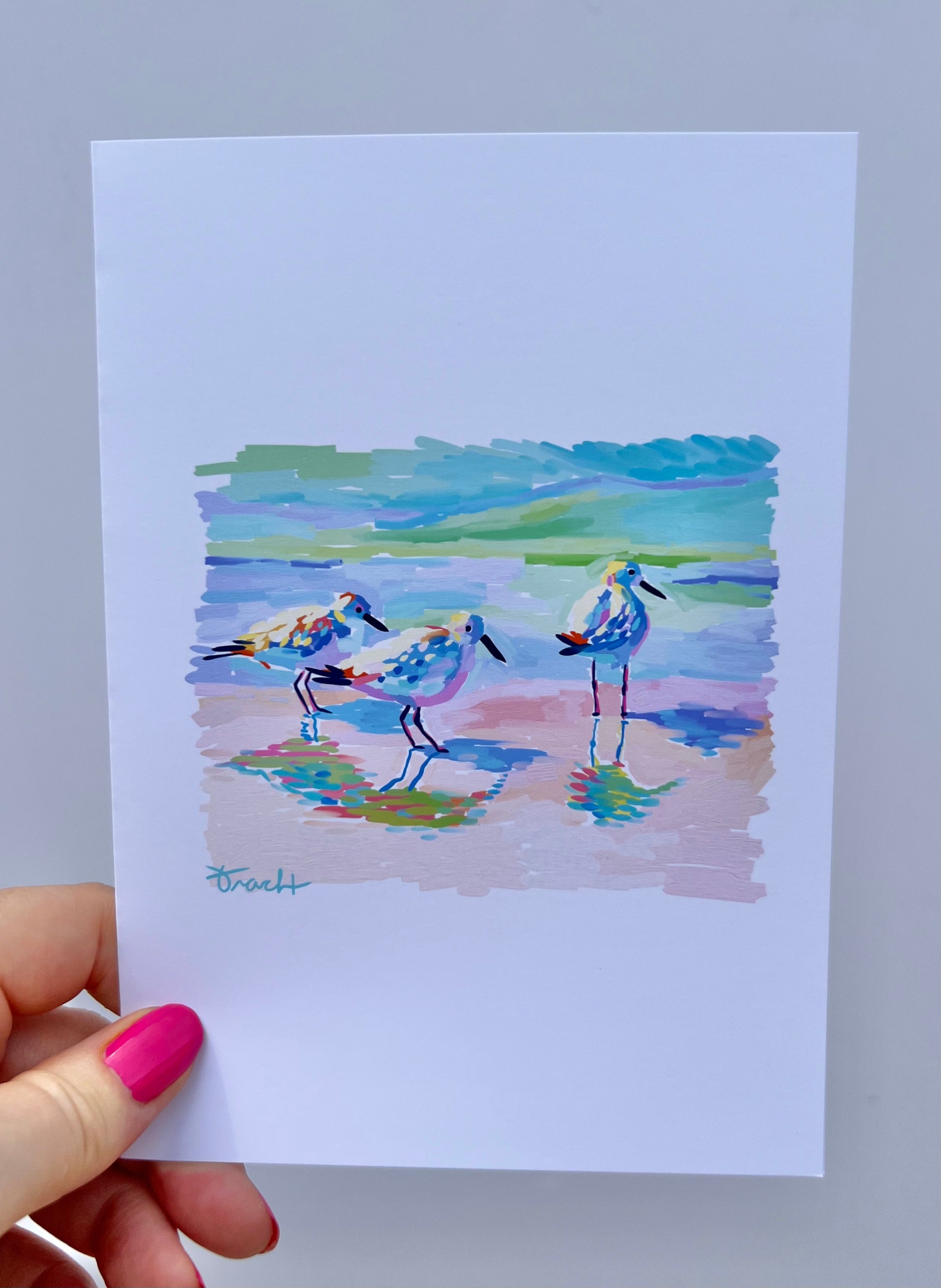 5x7 Greeting Cards
