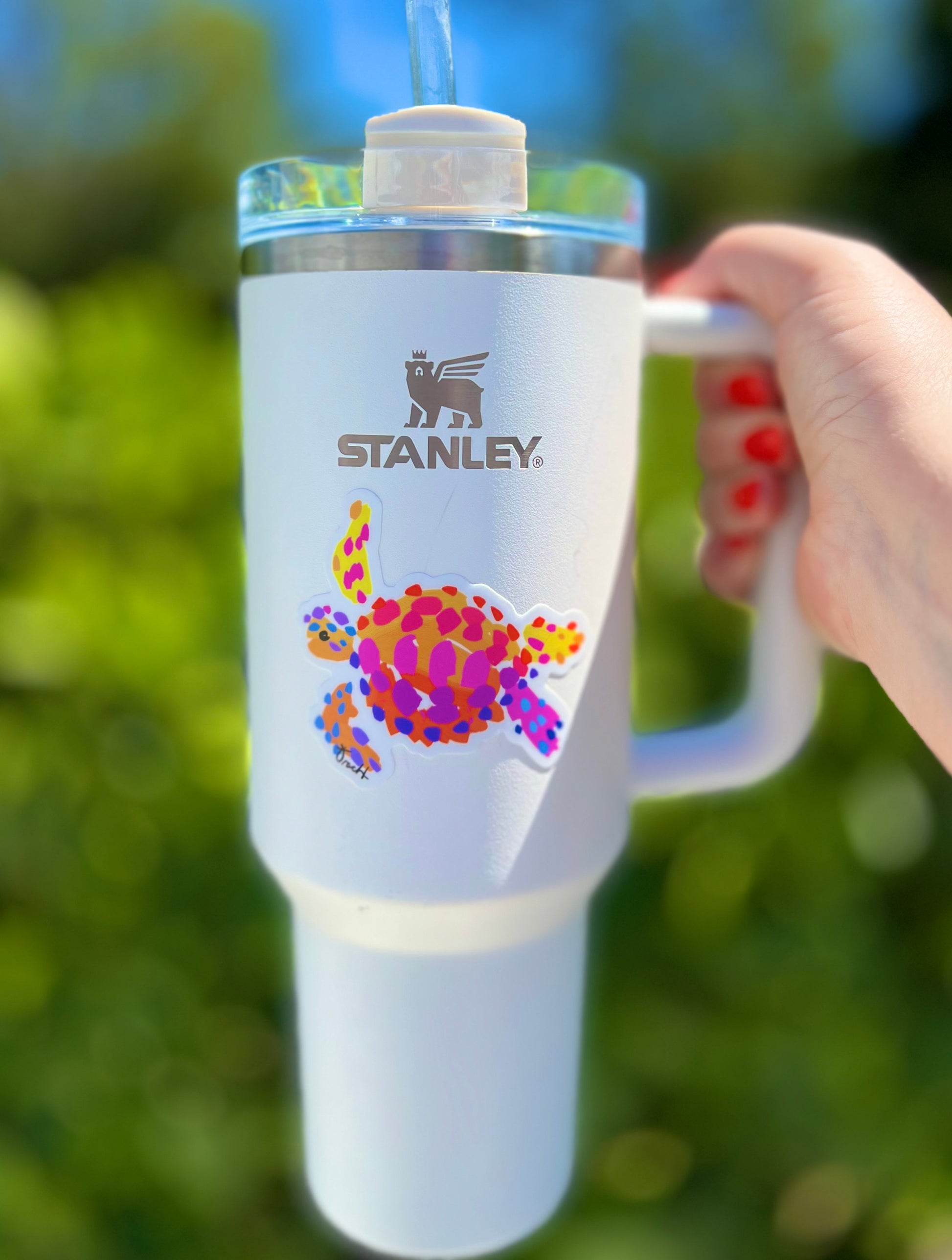 Sea Turtle Sticker