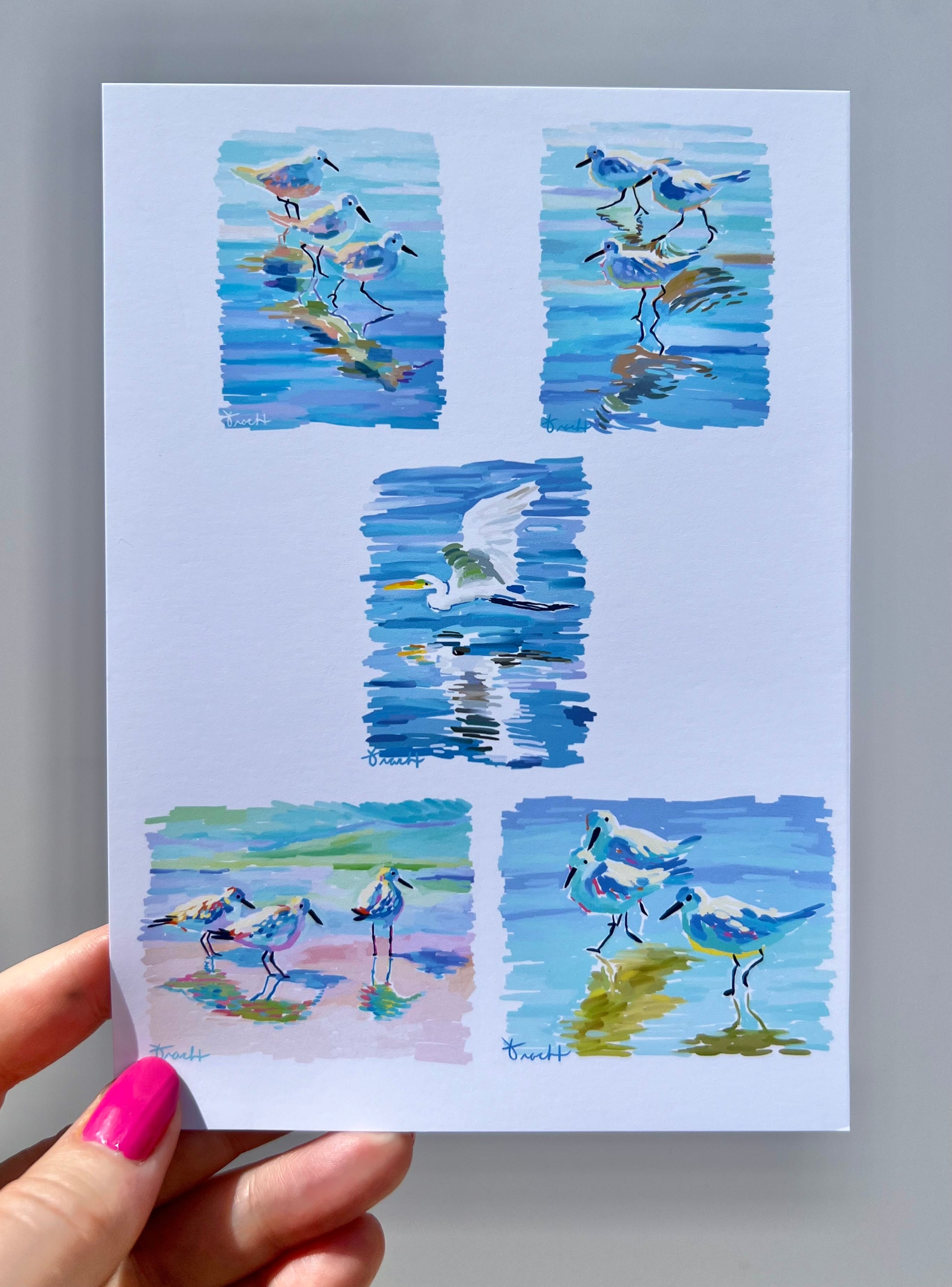 5x7 Greeting Cards