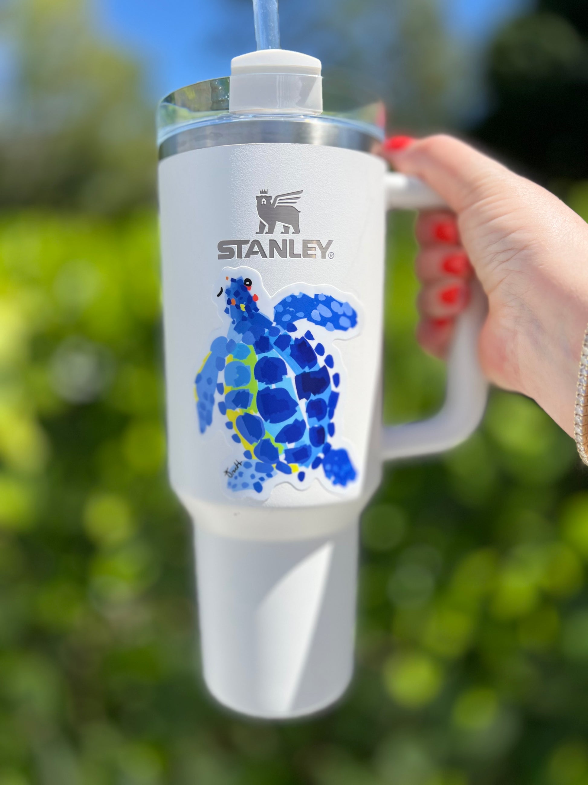Sea Turtle Sticker