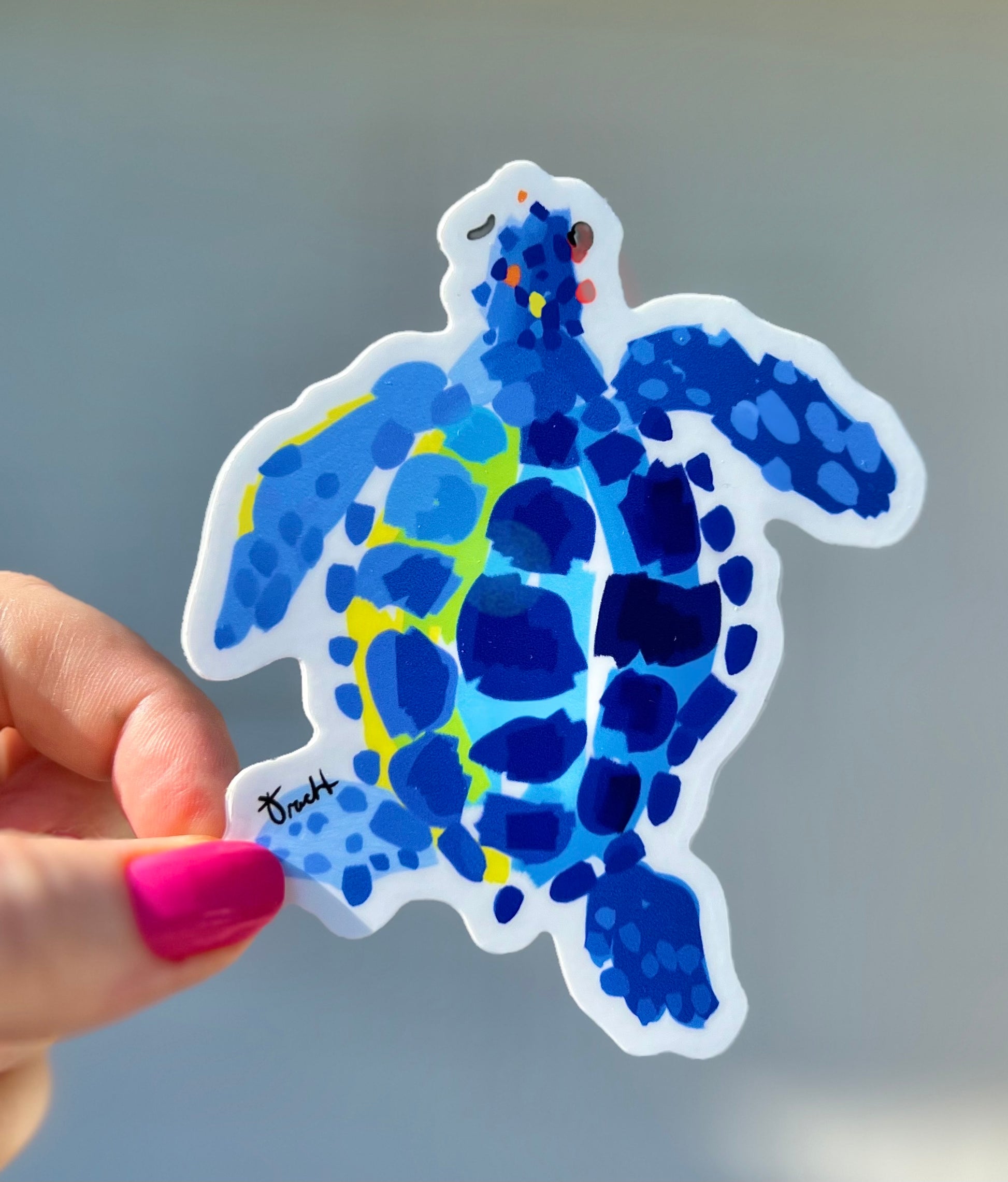 Sea Turtle Sticker