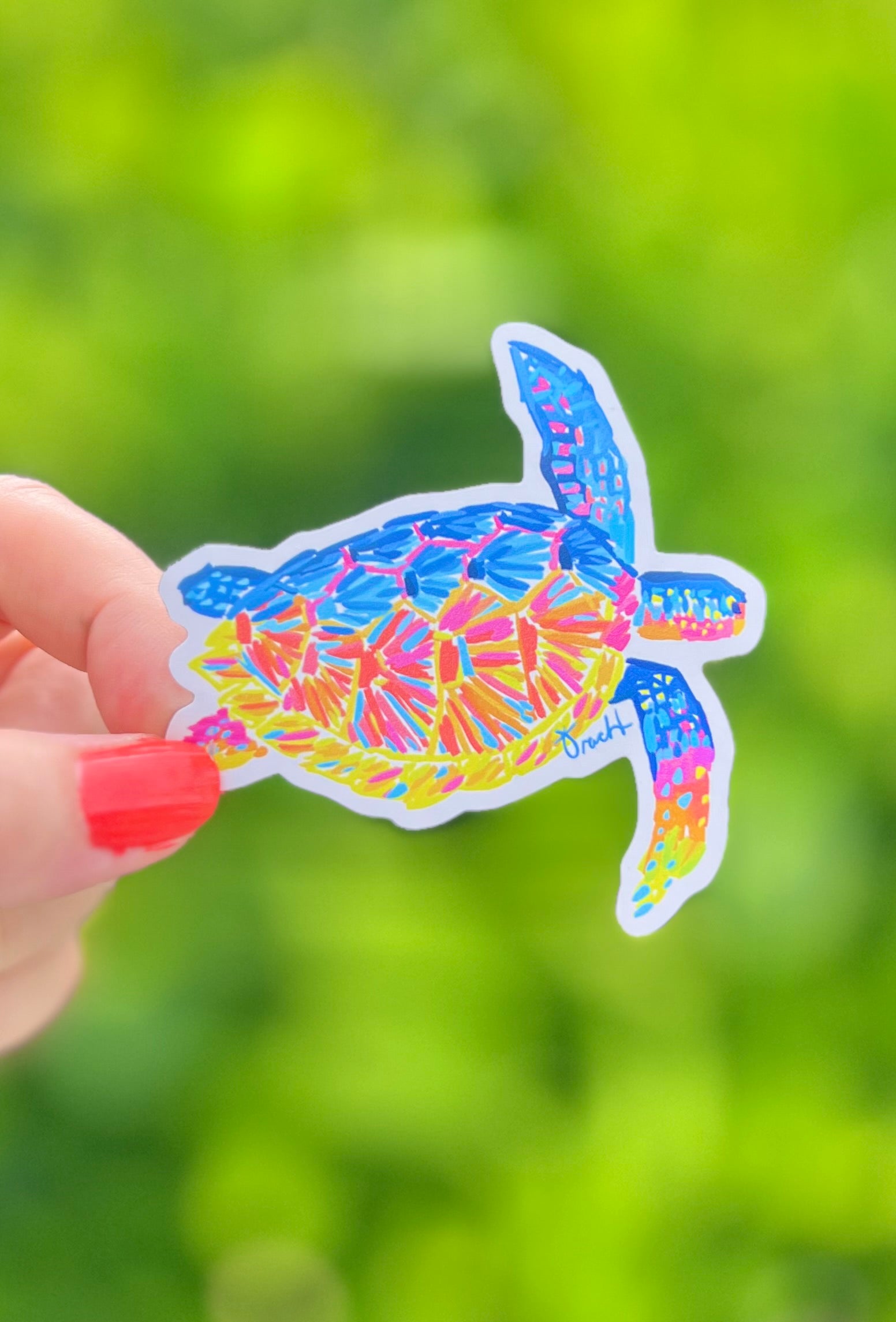 Sea Turtle Magnet