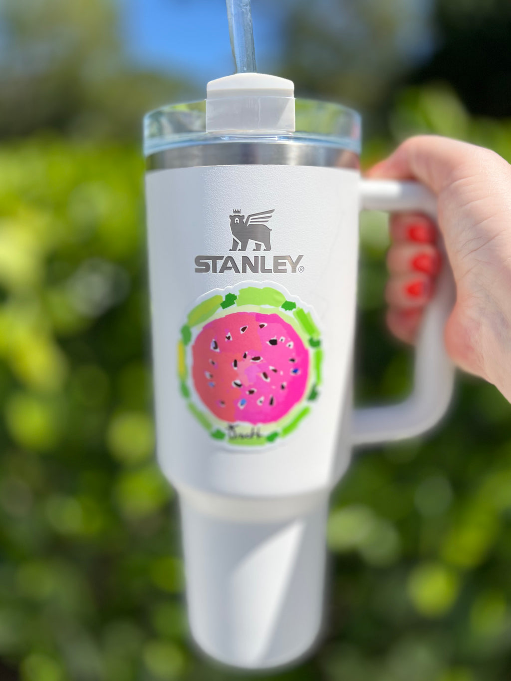 Watermelon Sticker