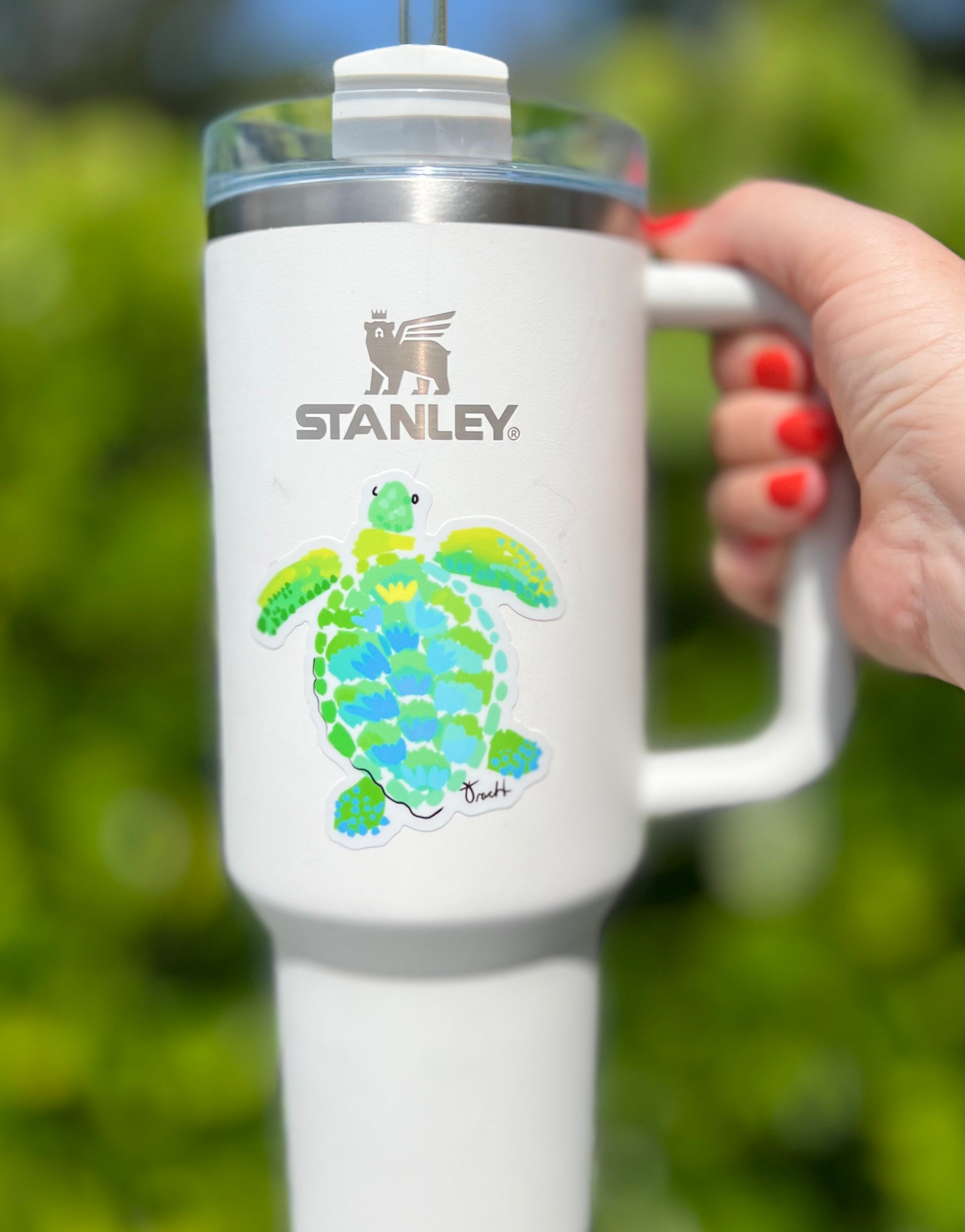 Sea Turtle Sticker