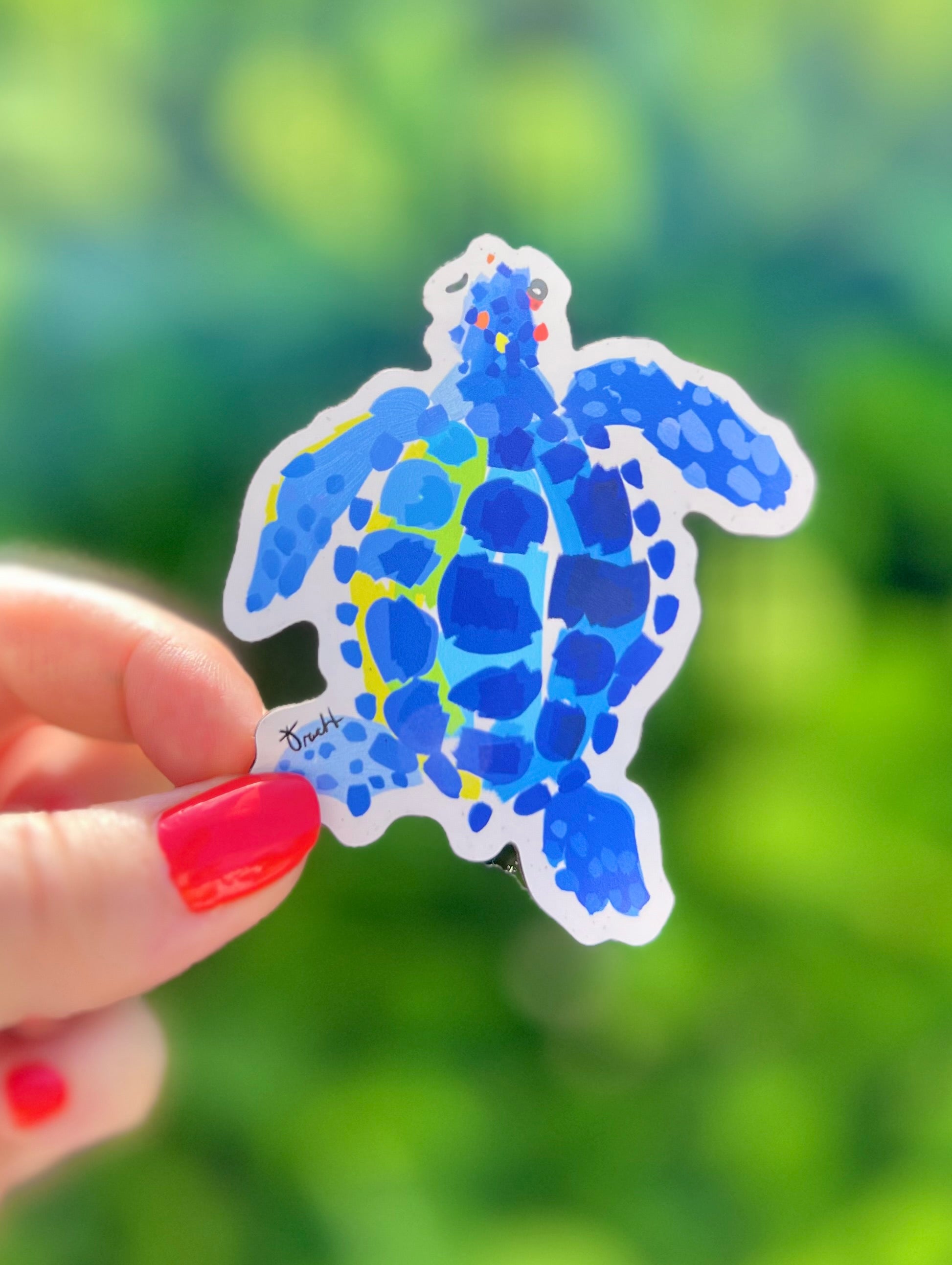Sea Turtle Magnet