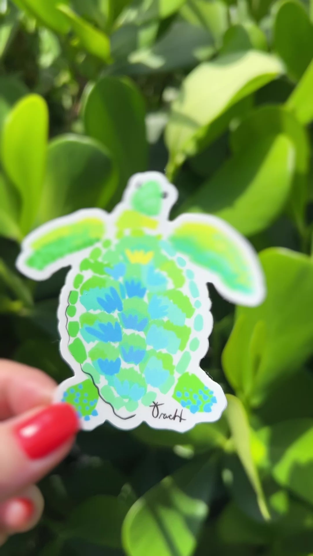Sea Turtle Sticker