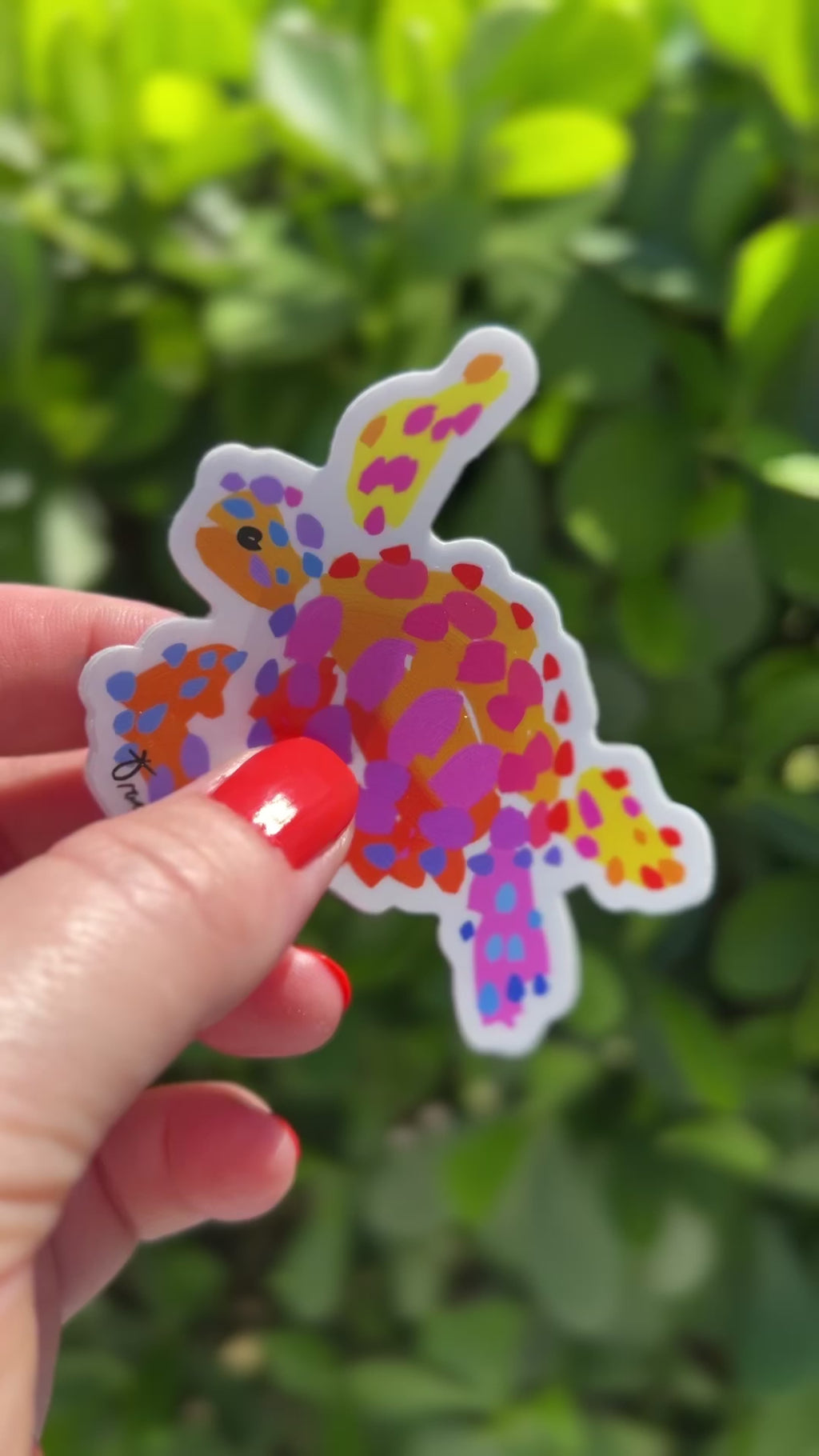 Sea Turtle Sticker