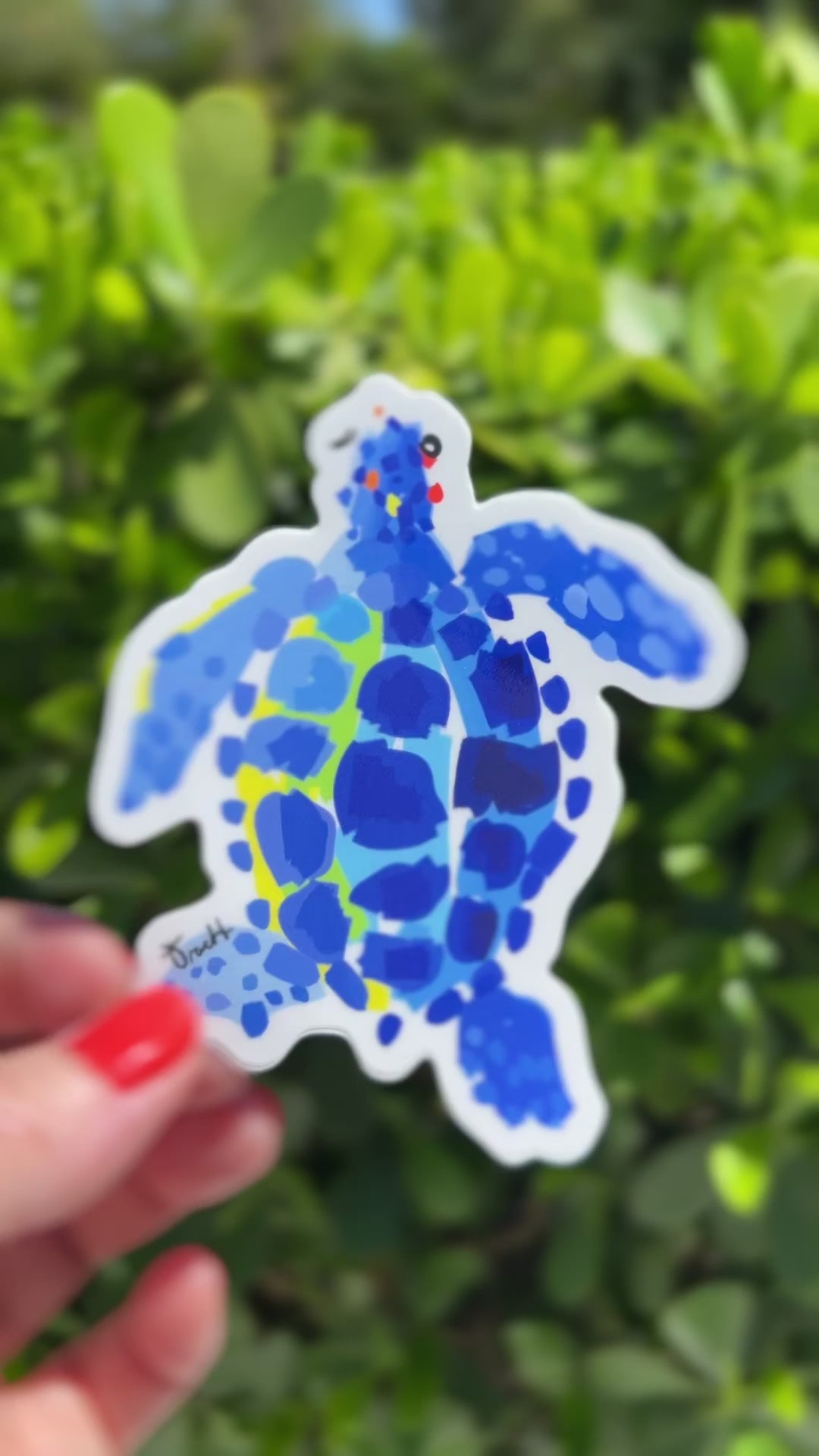 Sea Turtle Sticker