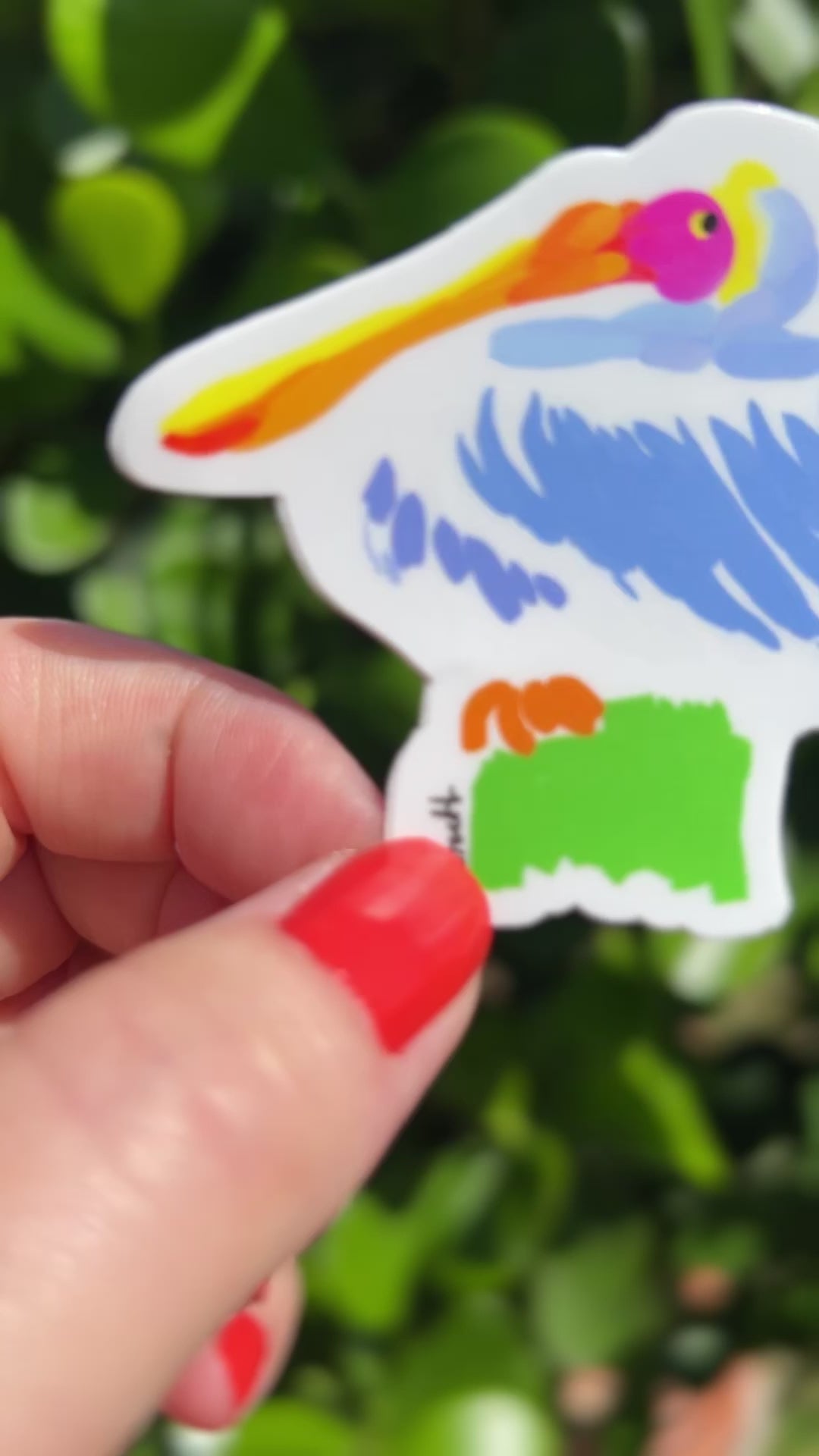 Pelican Sticker