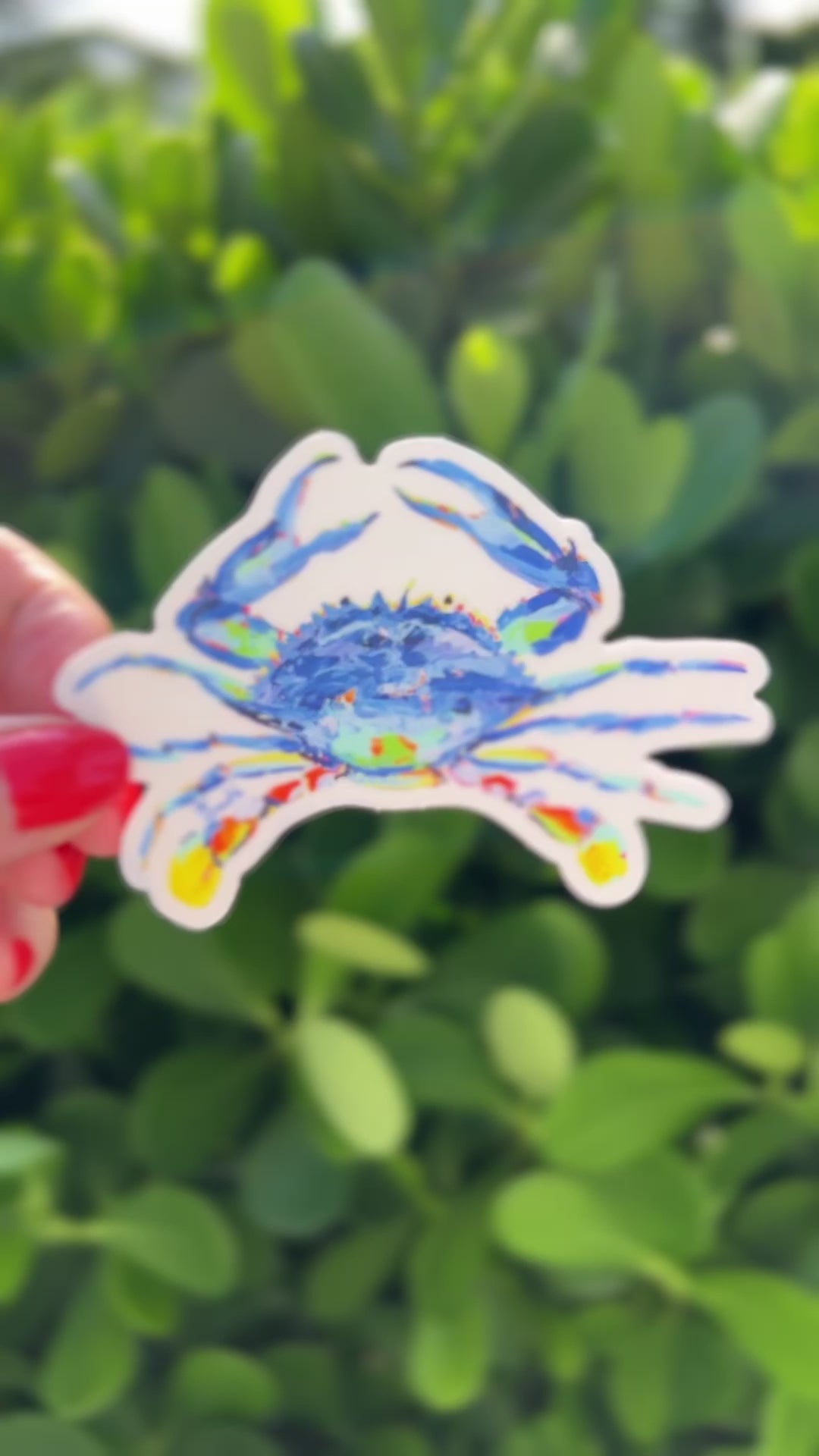 Blue Crab Sticker