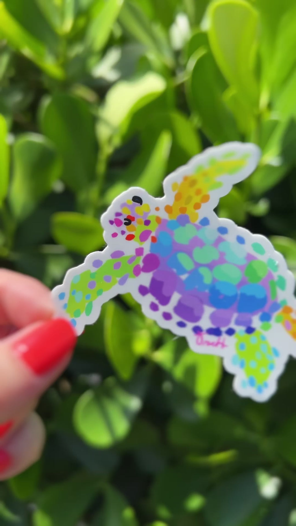 Sea Turtle Sticker